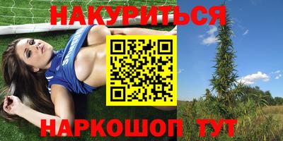 индика Вышний Волочёк