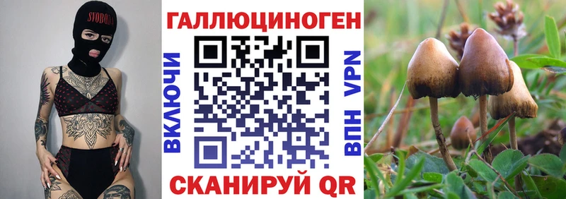 Псилоцибиновые грибы Psilocybe  где найти наркотики  МЕГА рабочий сайт  мориарти клад  Невинномысск 