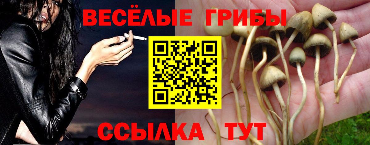 Меф МЯУ МЯУ   КОКАИН  Вход с VPN  Alpha PVP СОЛЬ   МЕТАМФЕТАМИН  Экстази  Невинномысск  Конопля 